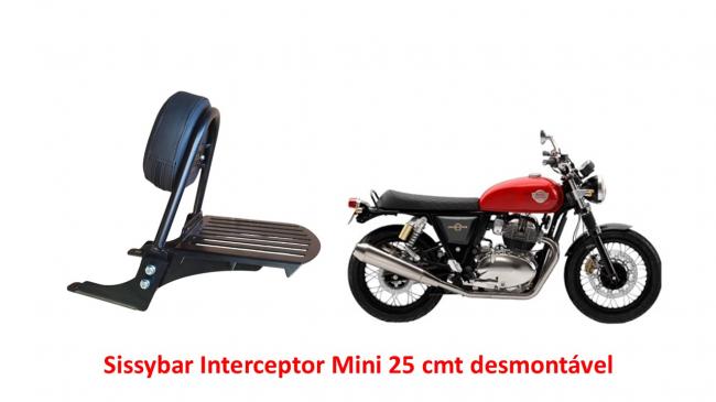 Sissybar Desmont�vel Mini 25 cmt
