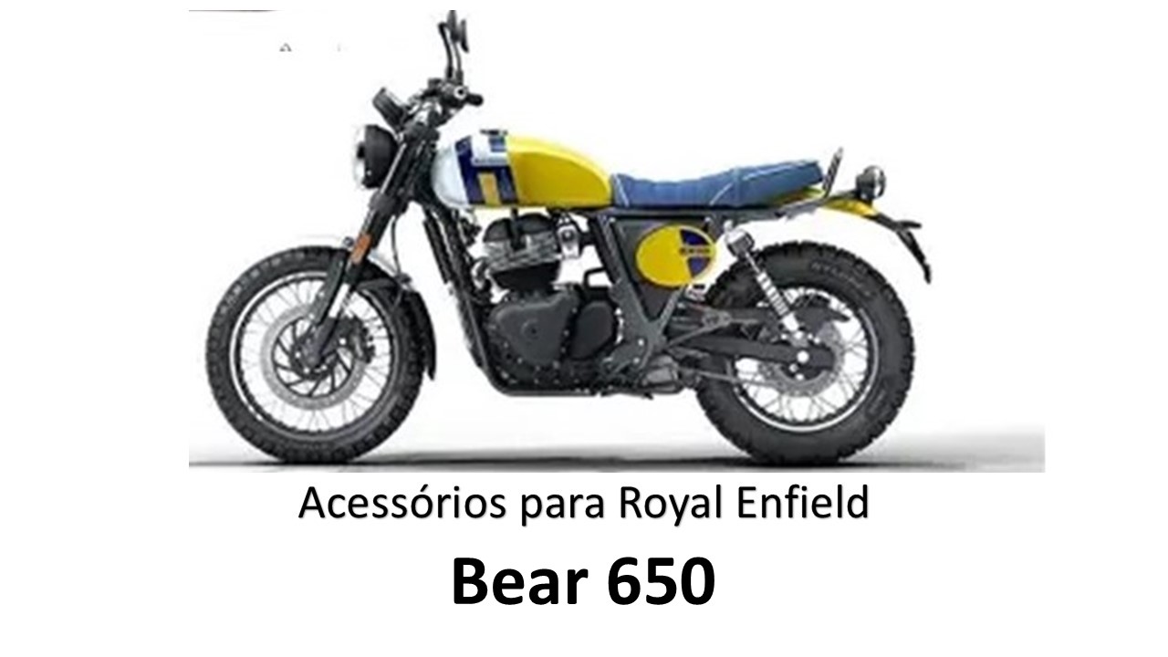 Bear 650