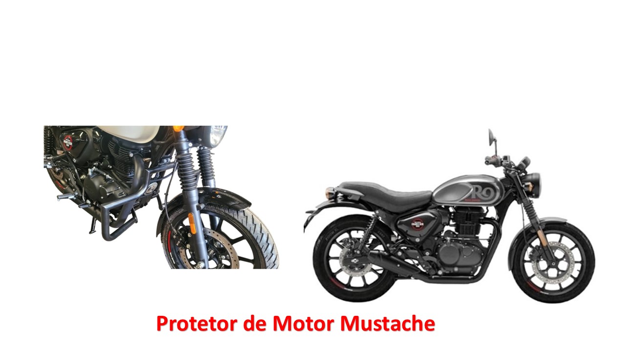 Protetor de Motor Hunter 350 - Mod Mustache