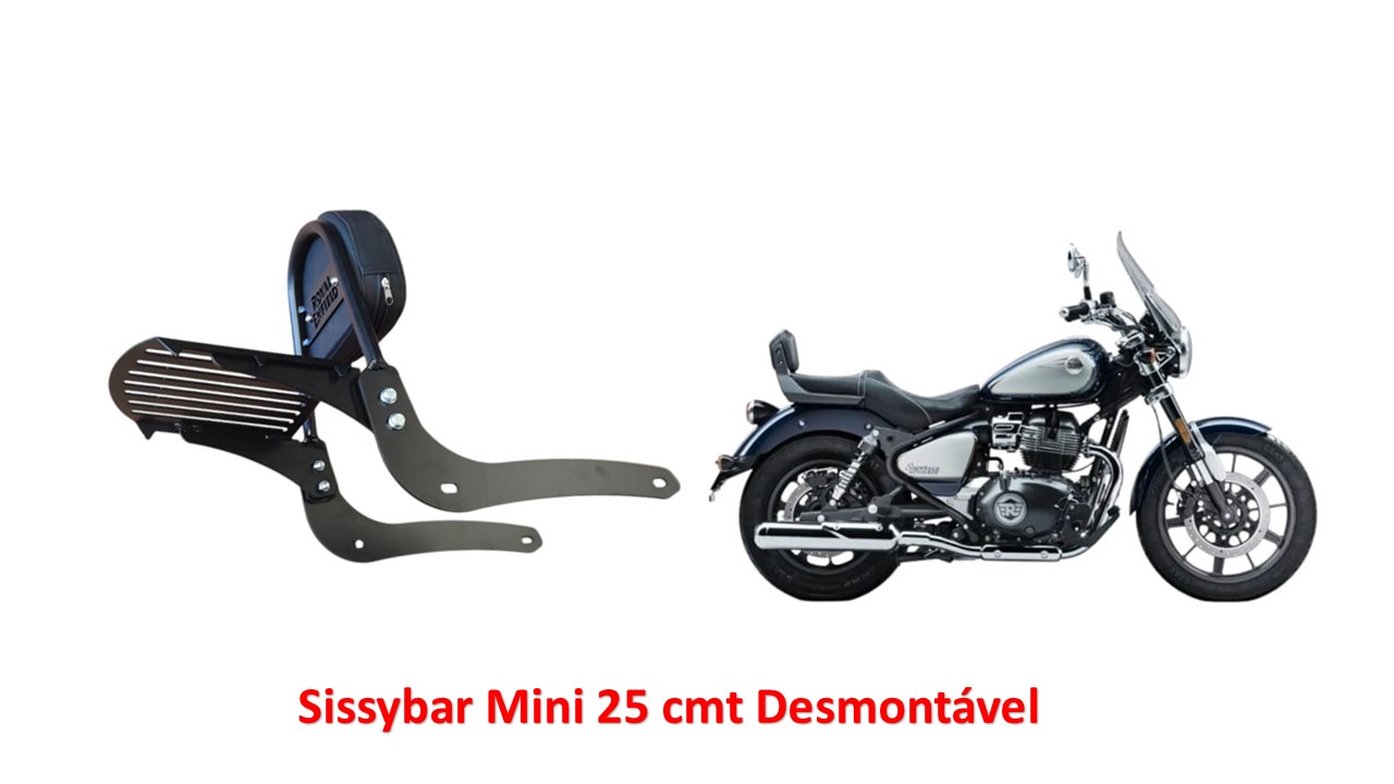 Sissybar Desmontável Mini 25 cmt Celestial