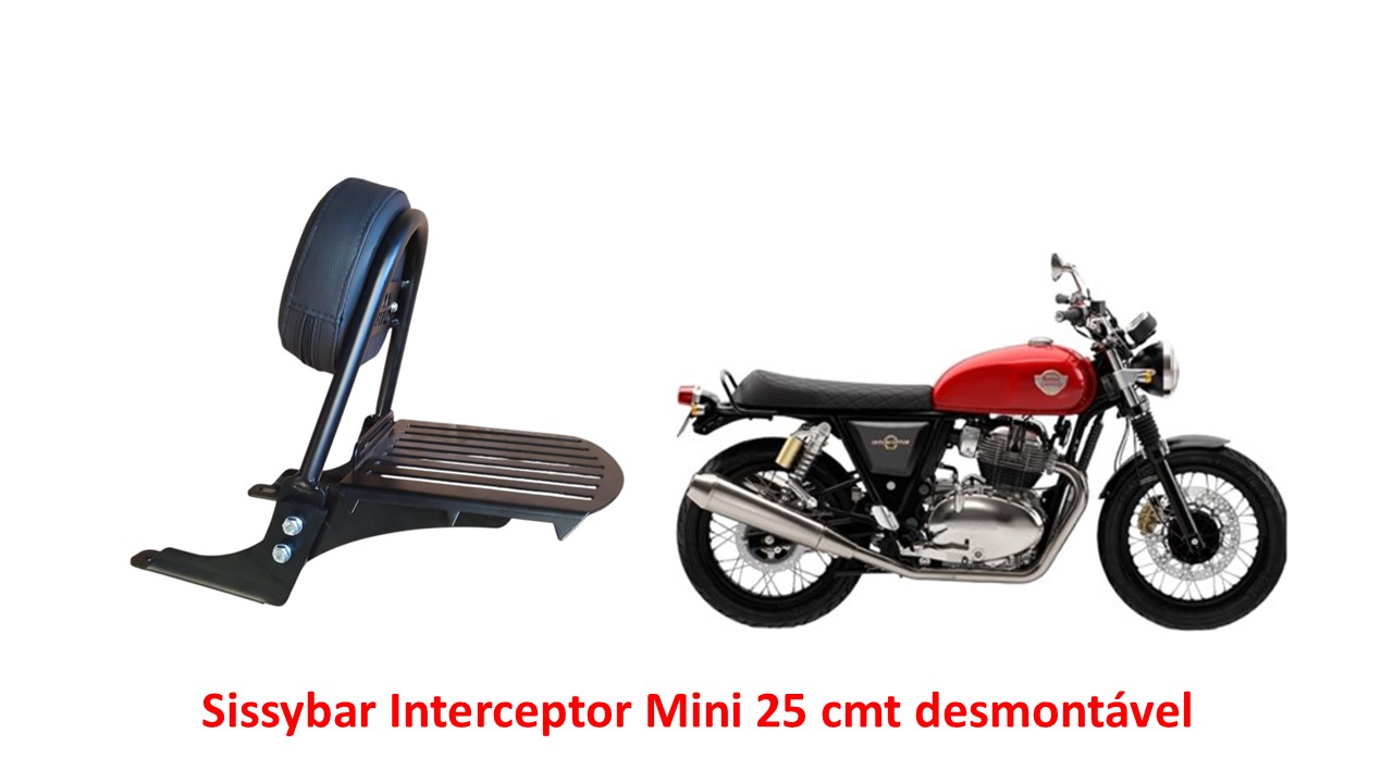 Sissybar Desmontável Mini 25 cmt Bear 650