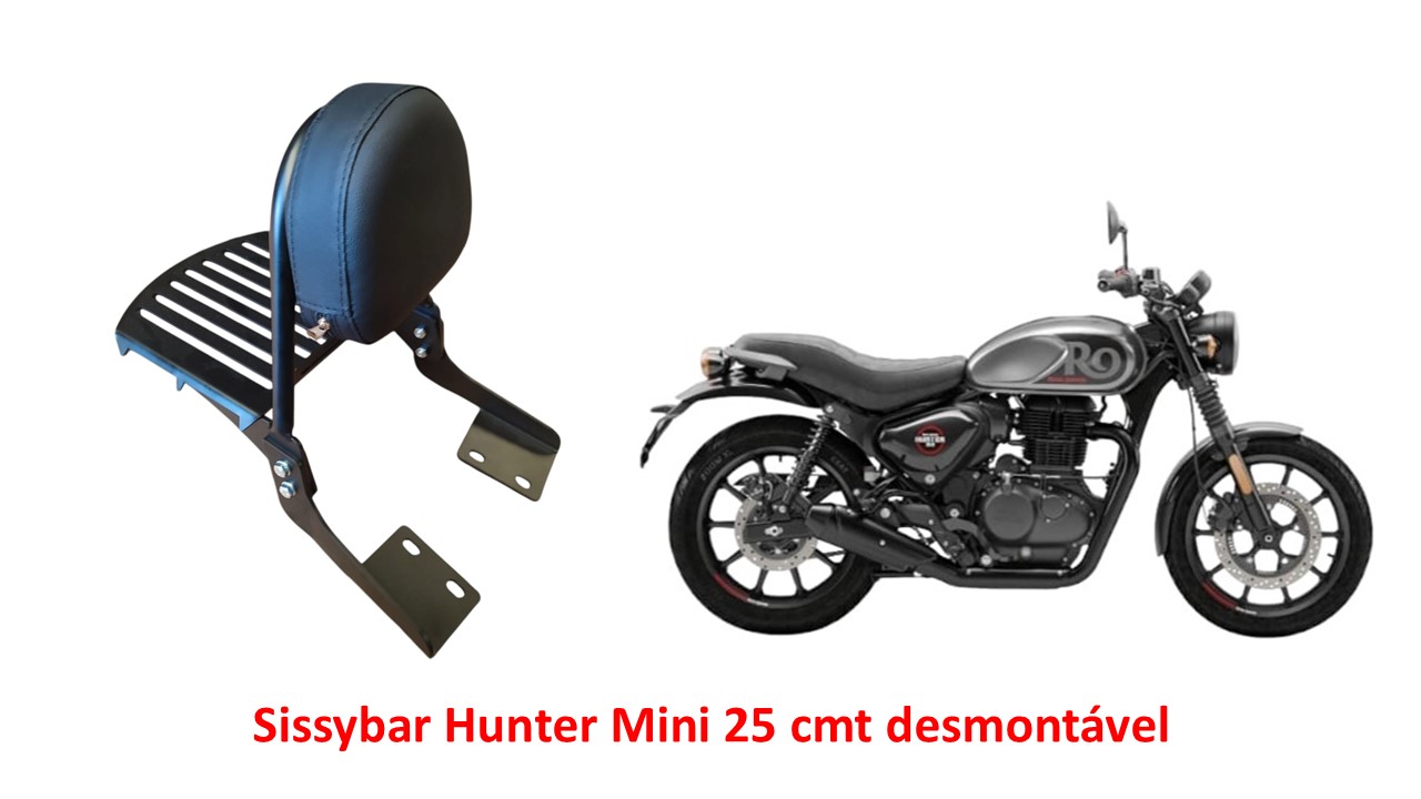 Sissybar Desmontável Mini 25 cmt Hunter 350