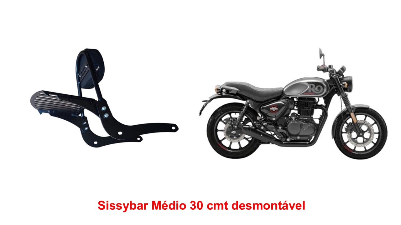 Sissybar Desmontável Médio 30 cmt Hunter 350