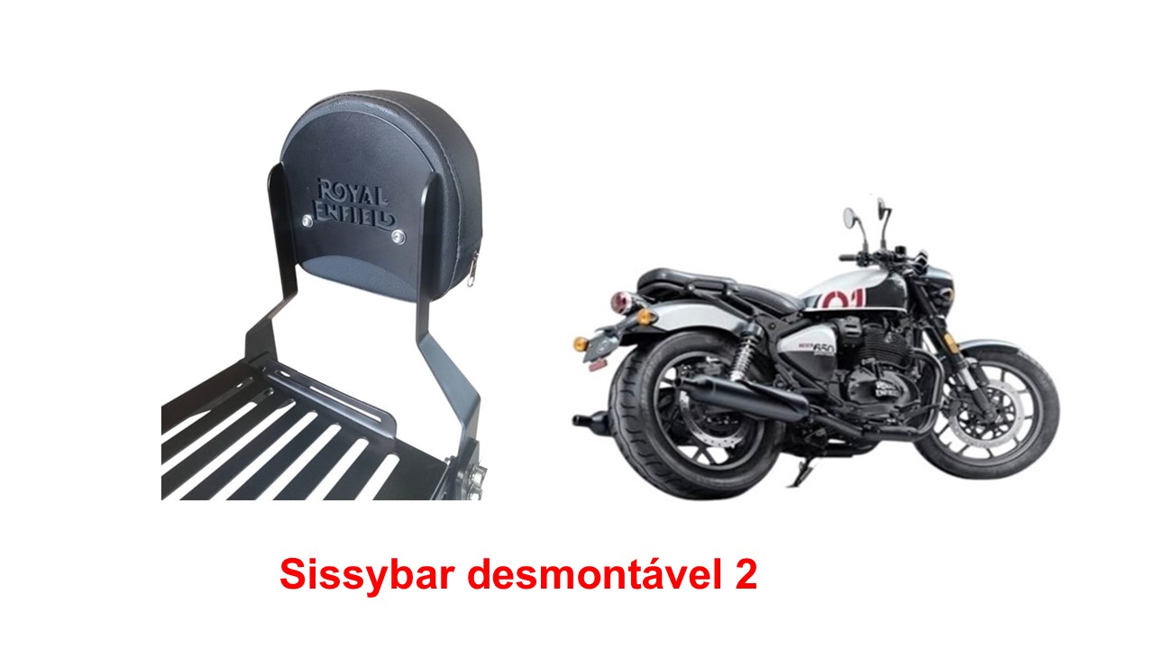 Sissybar Desmontavel 2 Disc Shotgun 650