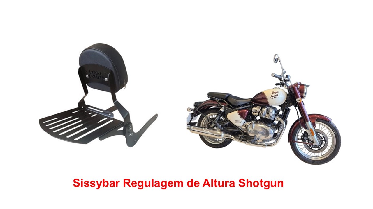 Sissybar Desmontável Regulagem de Altura Classic 650