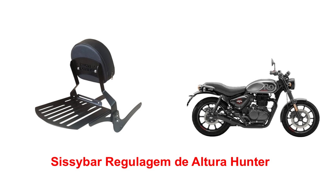 Sissybar Desmontável Regulagem de Altura Hunter 350