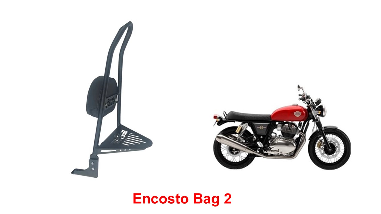 Encosto Alto Bag 2 Bear 650