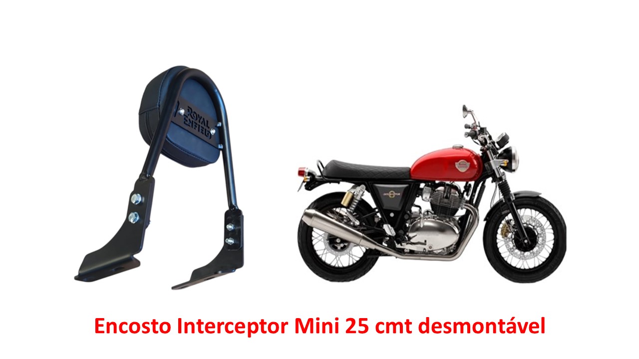 Encosto Desmontável Mini Bear 650