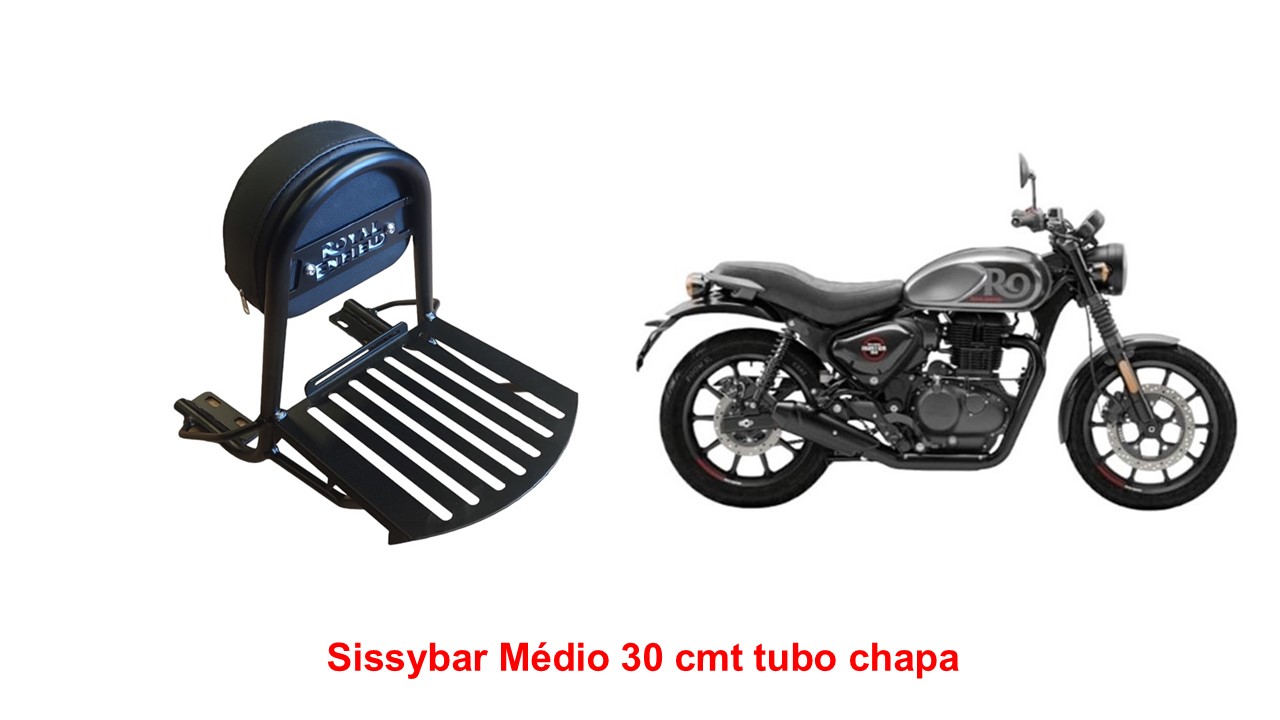 Sissybar Médio 30 cmt Hunter 350
