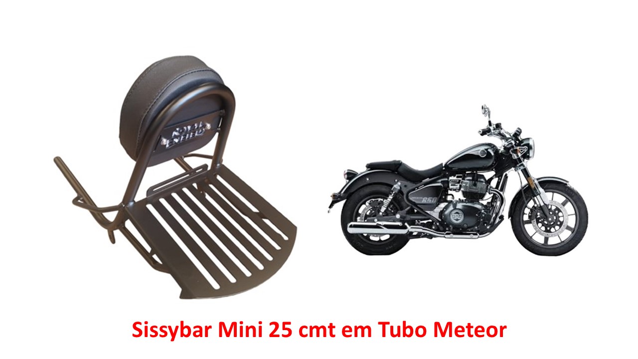Sissybar Mini 25 cmt Super Meteor 650 Astral