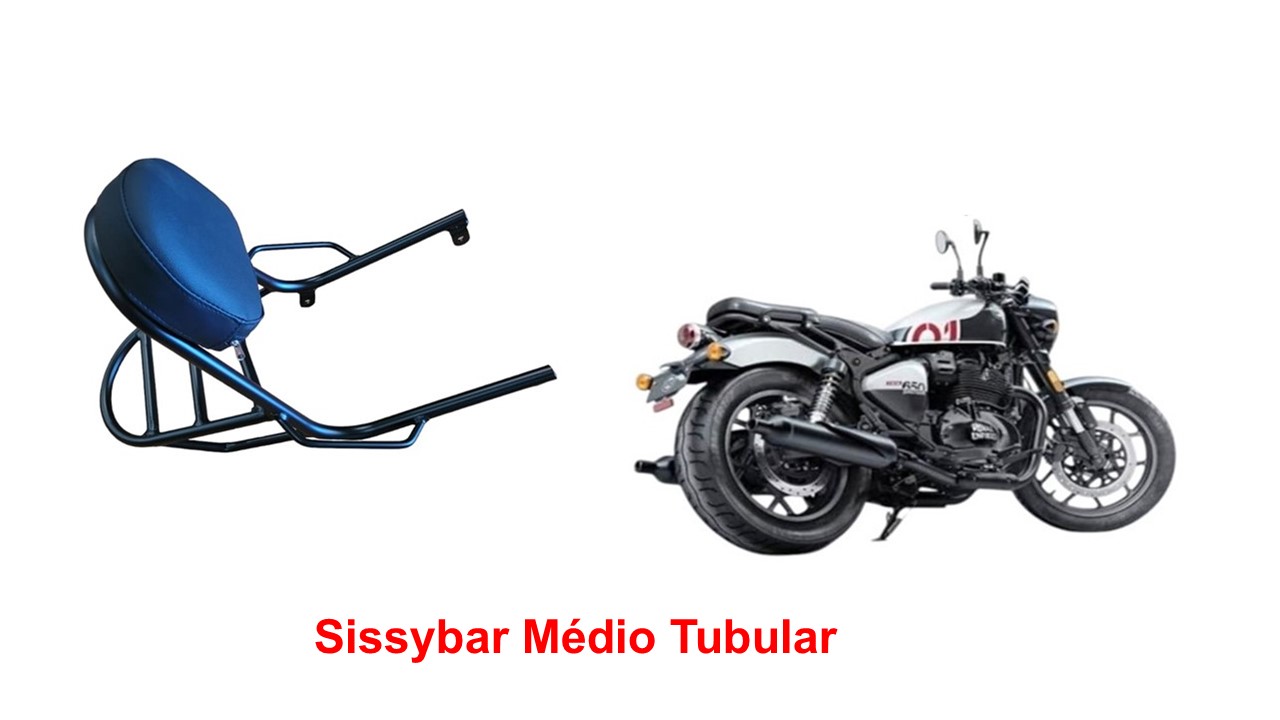 Sissybar Tubular Classic 650