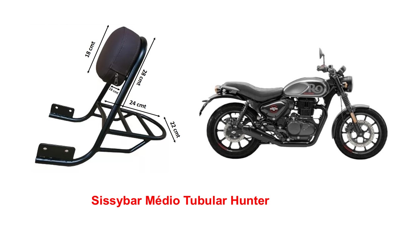 Sissybar Tubular Hunter 350